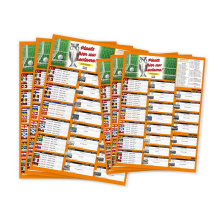 Poster met EK 2021 schema - Topgiving